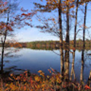 Meet your Posher, Ursula